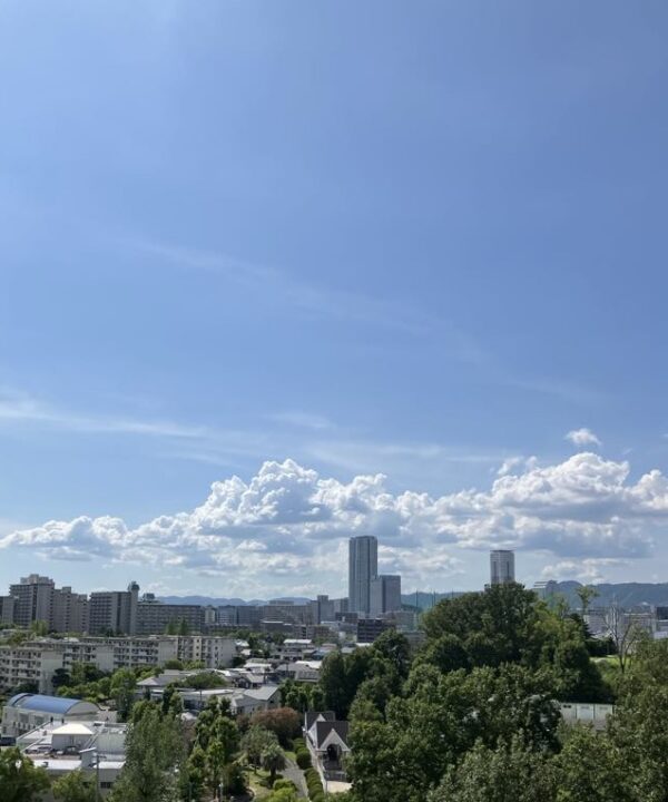 2025年7月13日、ブルーインパレス、北摂、関西万博、伊丹方面から太陽の塔へ向かってくる直前