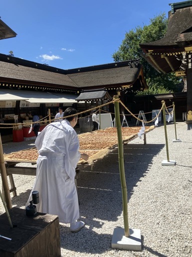 北野天満宮の梅の天日干し(朝)