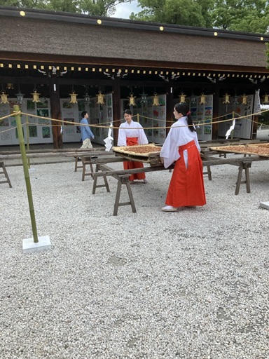 北野天満宮の梅の天日干し(閉館前)