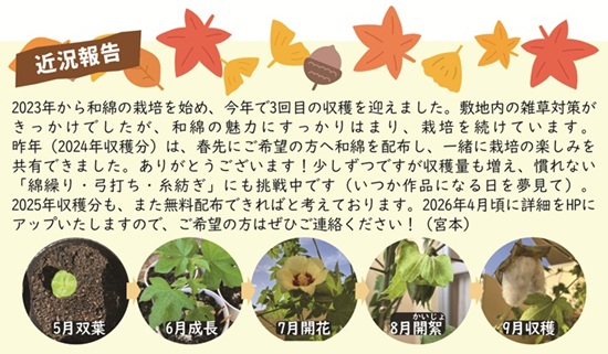 和綿の成長記録