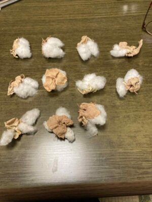 収穫されたコットンボール